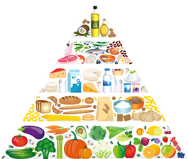 Pirámide alimenticia